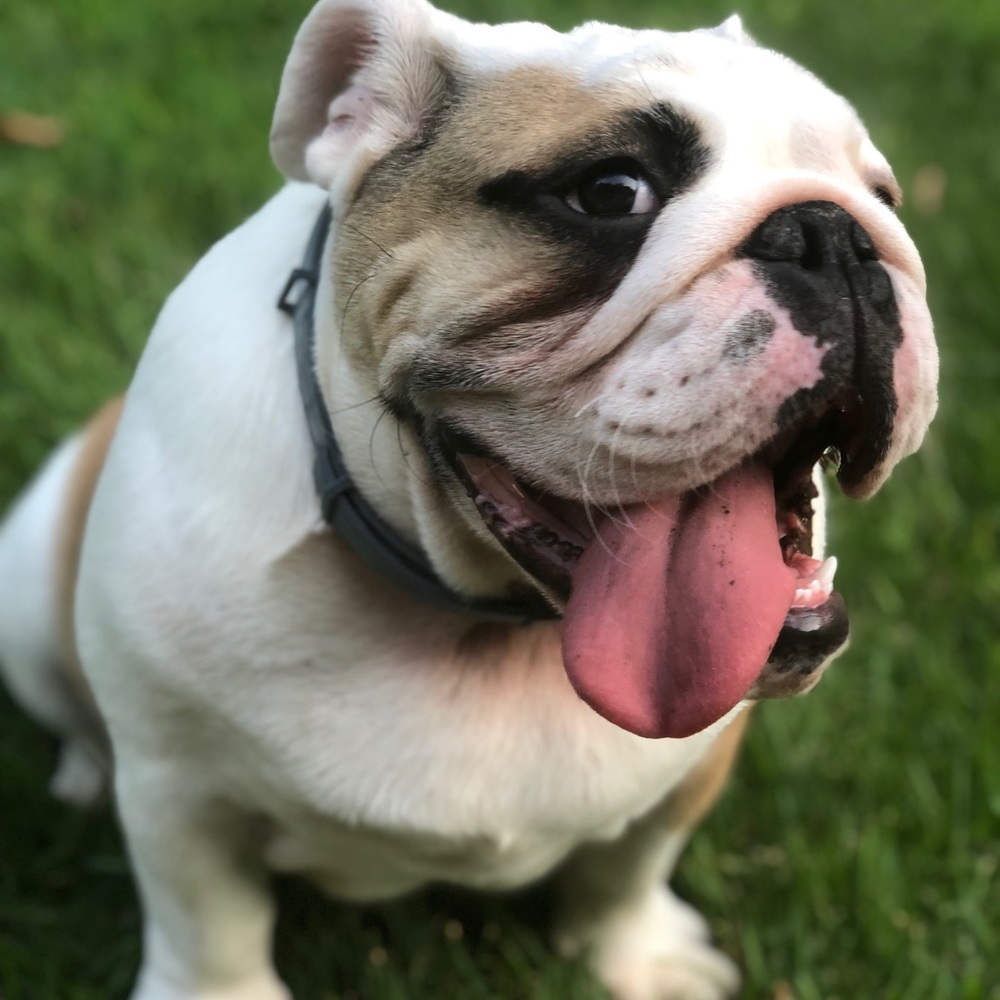 Meet your Posher, Charles